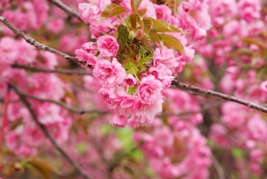 温州永嘉7线下个人借款平台一站式服务，轻松解决资金难题