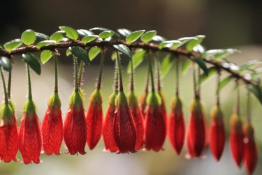温州永嘉7零用贷短借：轻松解决临时资金需求