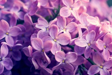 温州永嘉7企业急用钱贷款攻略：快速融资解燃眉之急